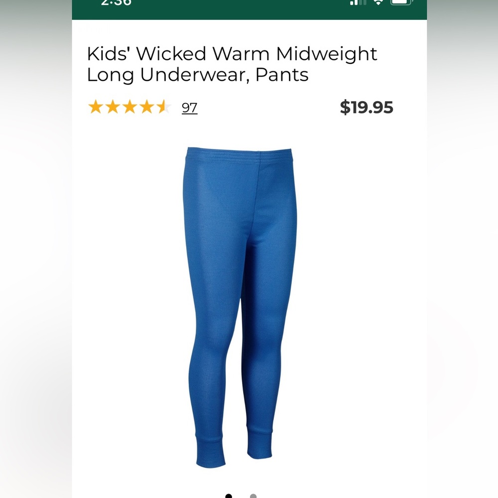 L. L. Bean thermal long pants